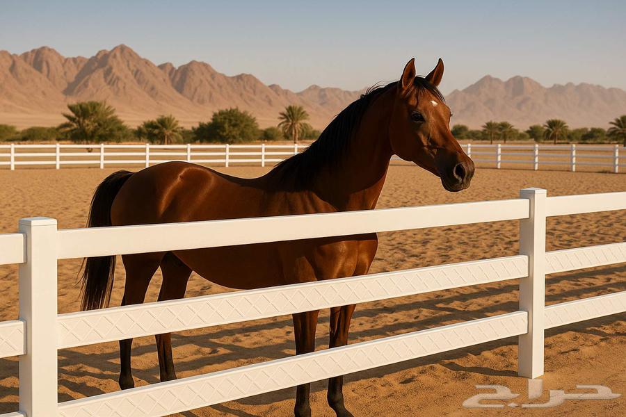 سور للمزارع والاستراحات والخيل64264868036226110