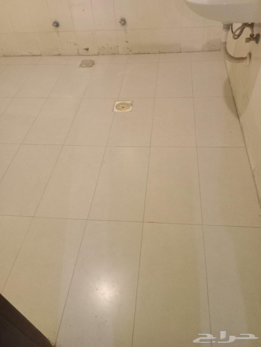 معلم بلاط سراميك اسعار مناسبة شغل مضمون64264685316865111