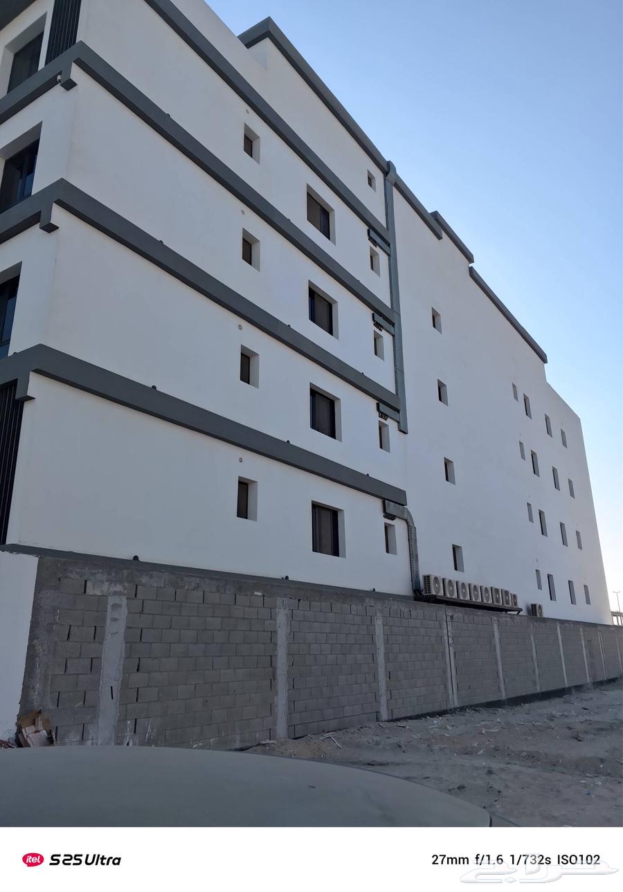 Paints, decorations, renovations, and insulation64263606862979111