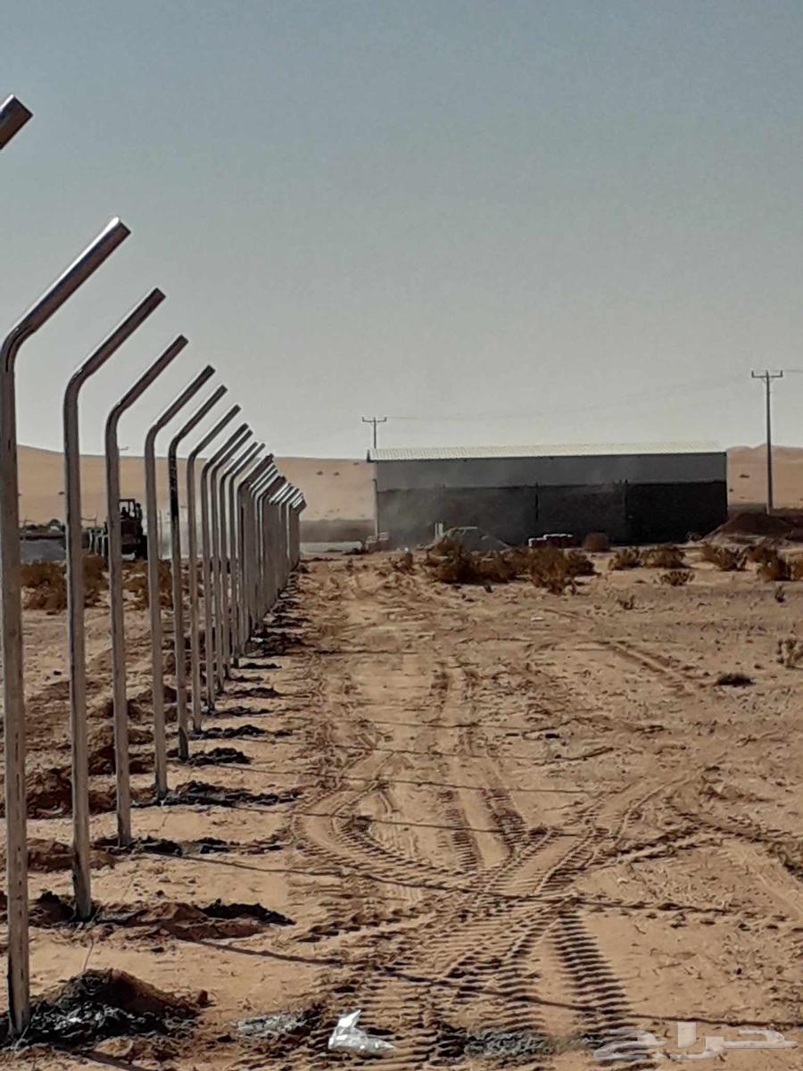 نقاول مقاوله عامه توريد وتركيب جميع انواع الشبوك في أنحاء ال64264366136961111