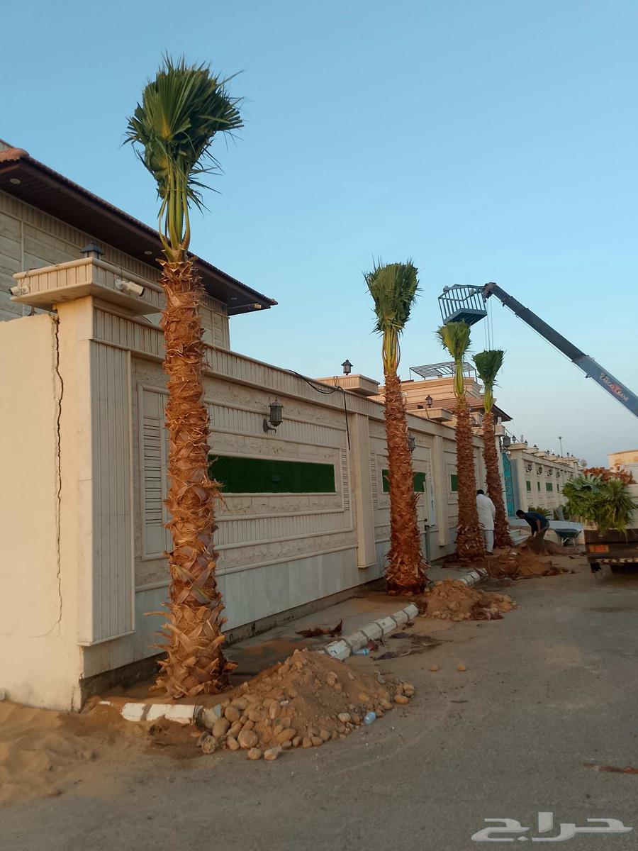 Installation of fences with all technical specifications64264524934146112