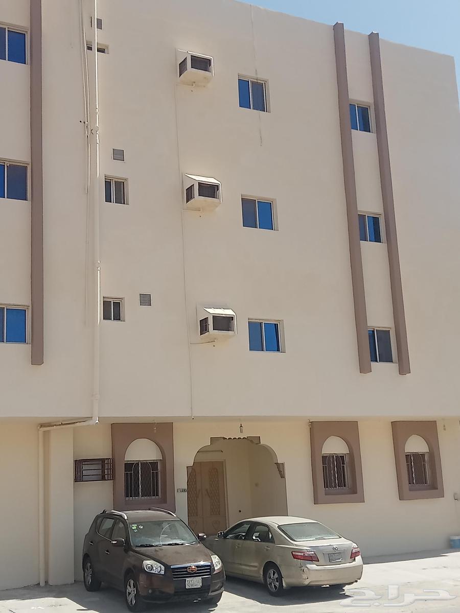 معلم دهانات بمكه64264870237953114