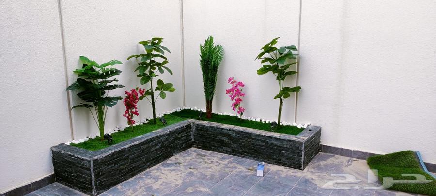 Landscaping in Dammam and Khobar, installing artificial grass and natural grass64260123828611113
