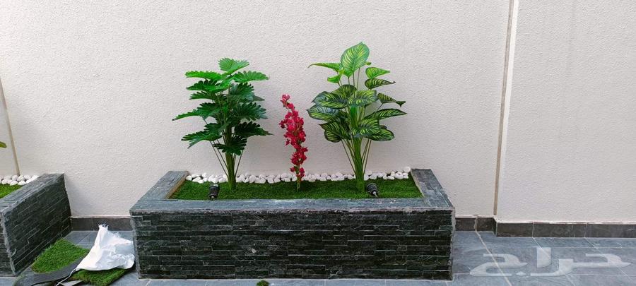 Landscaping in Dammam and Khobar, installing artificial grass and natural grass64260123828611114