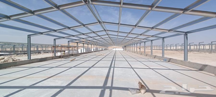 توريد وتركيب شبوك حضائر توريدوتركيب مزارع دجاج64259889376643111