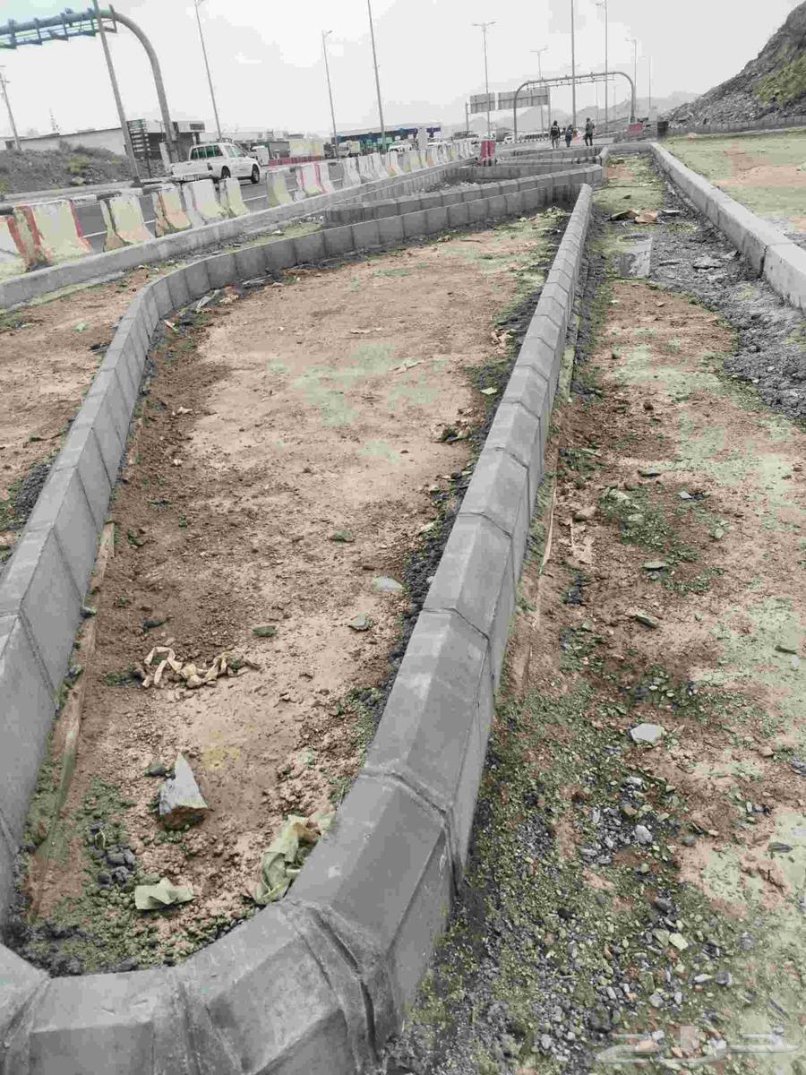 معلم انترالك وبندور بأقل سعر شغل حدايق بلديه بأقل الأسعار في64263792911875114