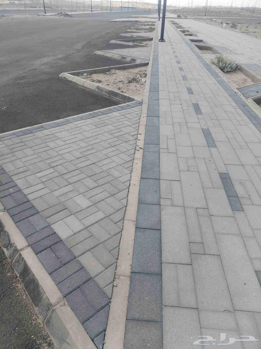 معلم انترالك وبندور بأقل سعر شغل حدايق بلديه بأقل الأسعار في64263792911875111