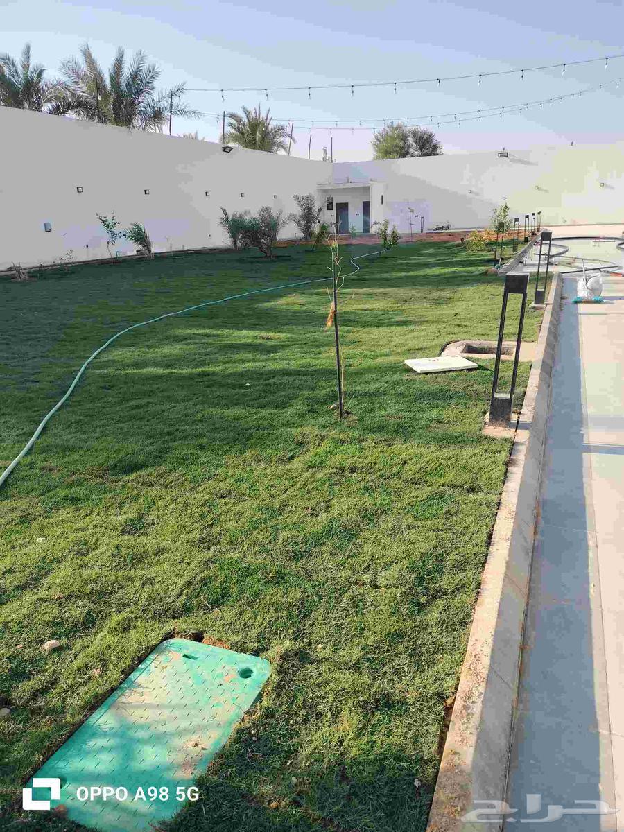 تنسيق الحدائق تركيب العشب الطبيعي64264365128321110