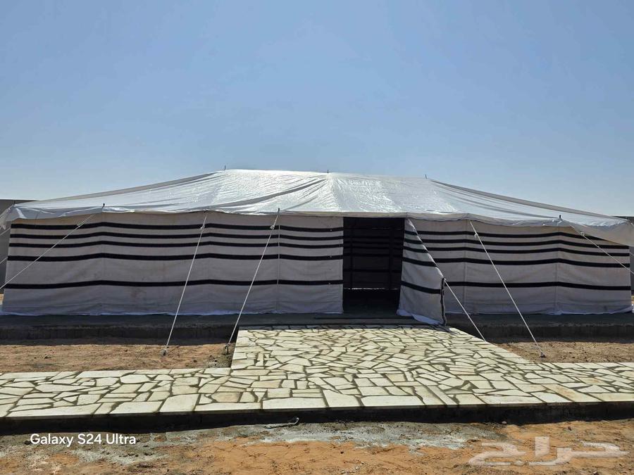 بيوت شعر جميع لمكاسات64263793618561113