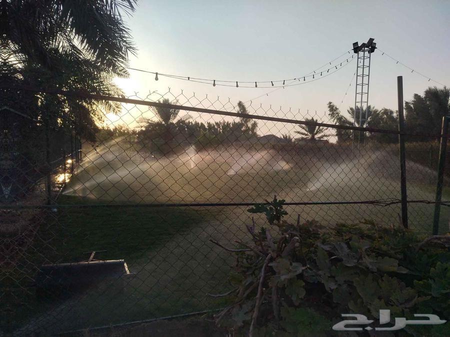 تركيب وتوريد الثيل الطبيعي وتركيب العشب الصناعي وتكسيات الخا64263981596163112