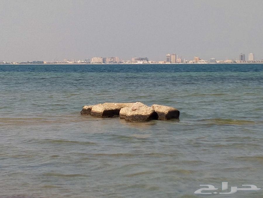 مشوار توصيل لمدينة الرياض او الشرقيه.64265061137027111