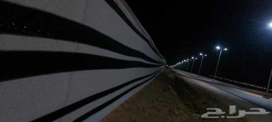 توريد وتركيب الشبوك والنخيل64260305299970113