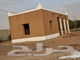 Installation of farm fences, supply of Washington and Arabian palm trees, heritage construction64260121192451114