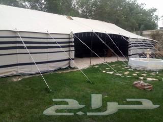 تركيب خيام وبيوت شعر64259899862786112