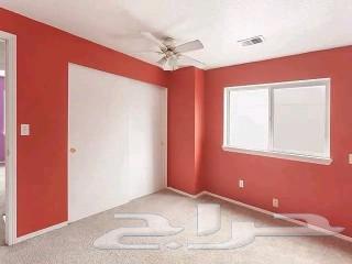 دهانات و ديكورات64260122396802114