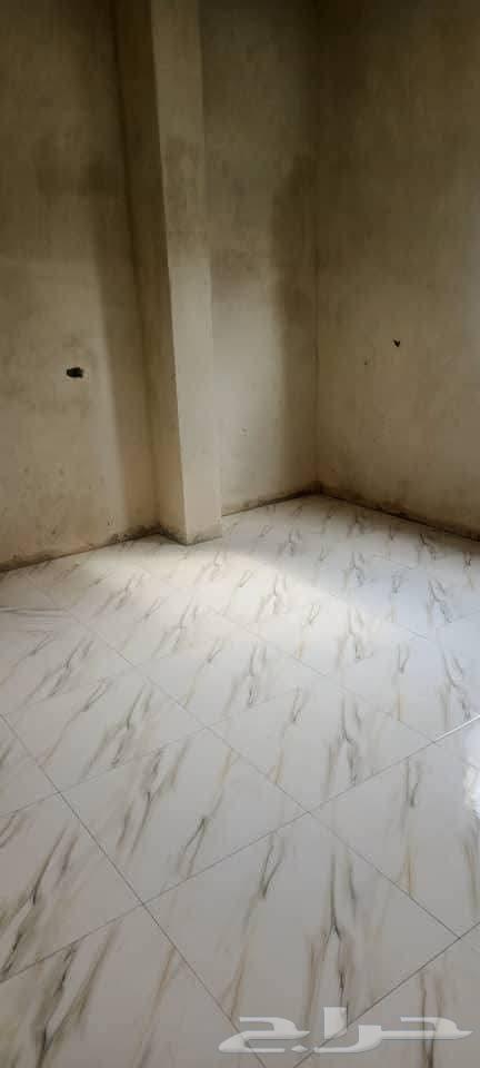 Tile Master64264868097794113