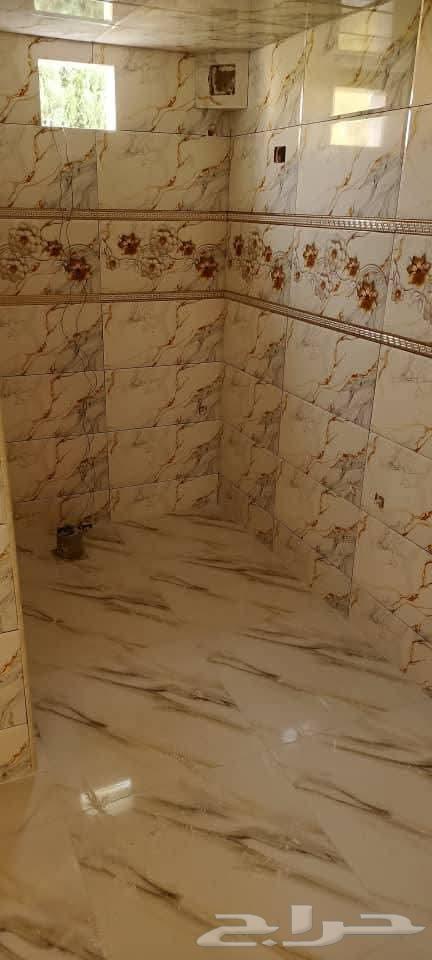 Tile Master64264868097794114