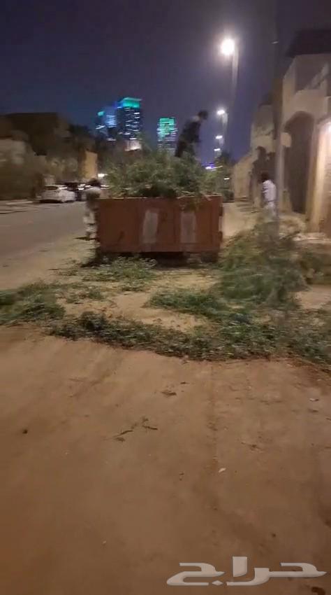 قشع نخل غرس نخل قص شجر تقطيع شجر أزاله شجر رافعه نخل تنظيف ن64264684005249112