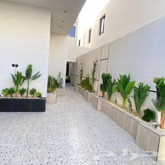 Landscaping in Dammam and Khobar, installing artificial grass and natural grass64260123828611112