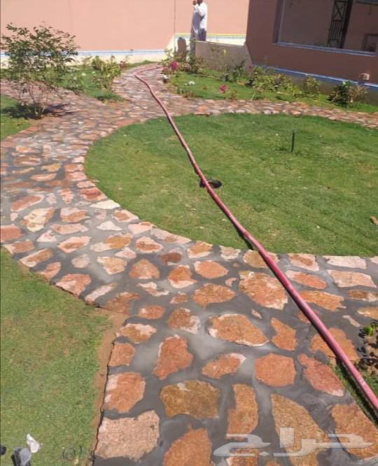 حجرطبيعي64265061242625113