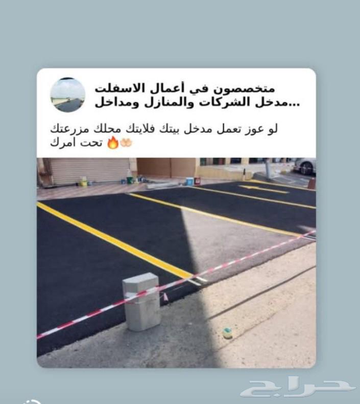 Taif64255129006594113