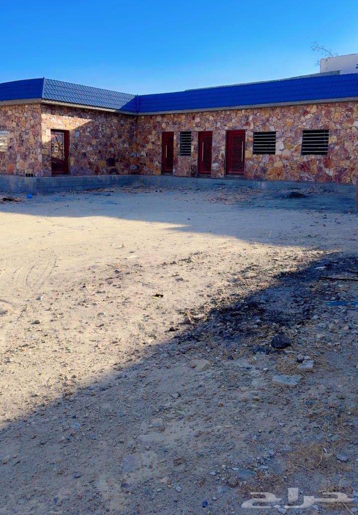 مقاول مباني تراثيه64260120785154111