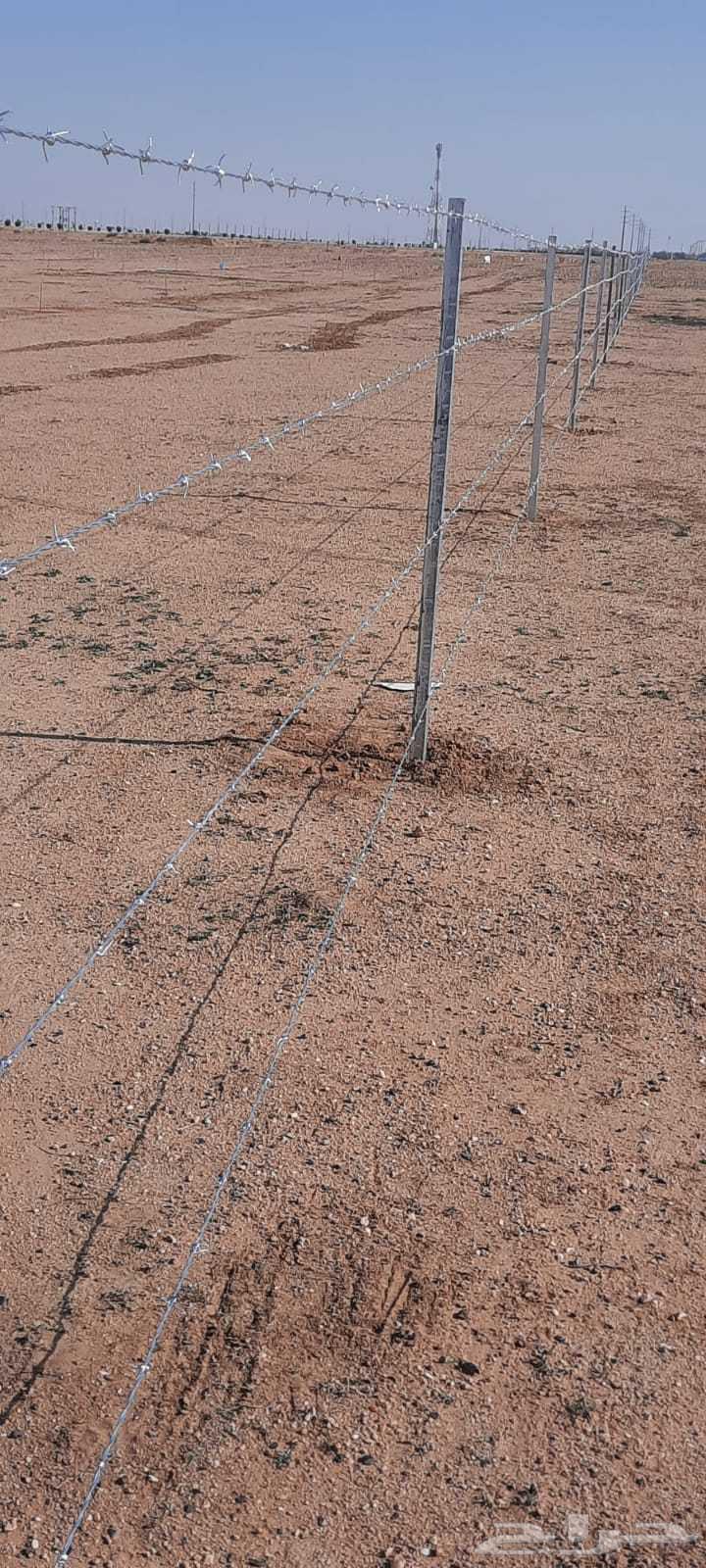 Installation of farm fences, supply of Washington and Arabian palm trees, heritage construction64260121192451113