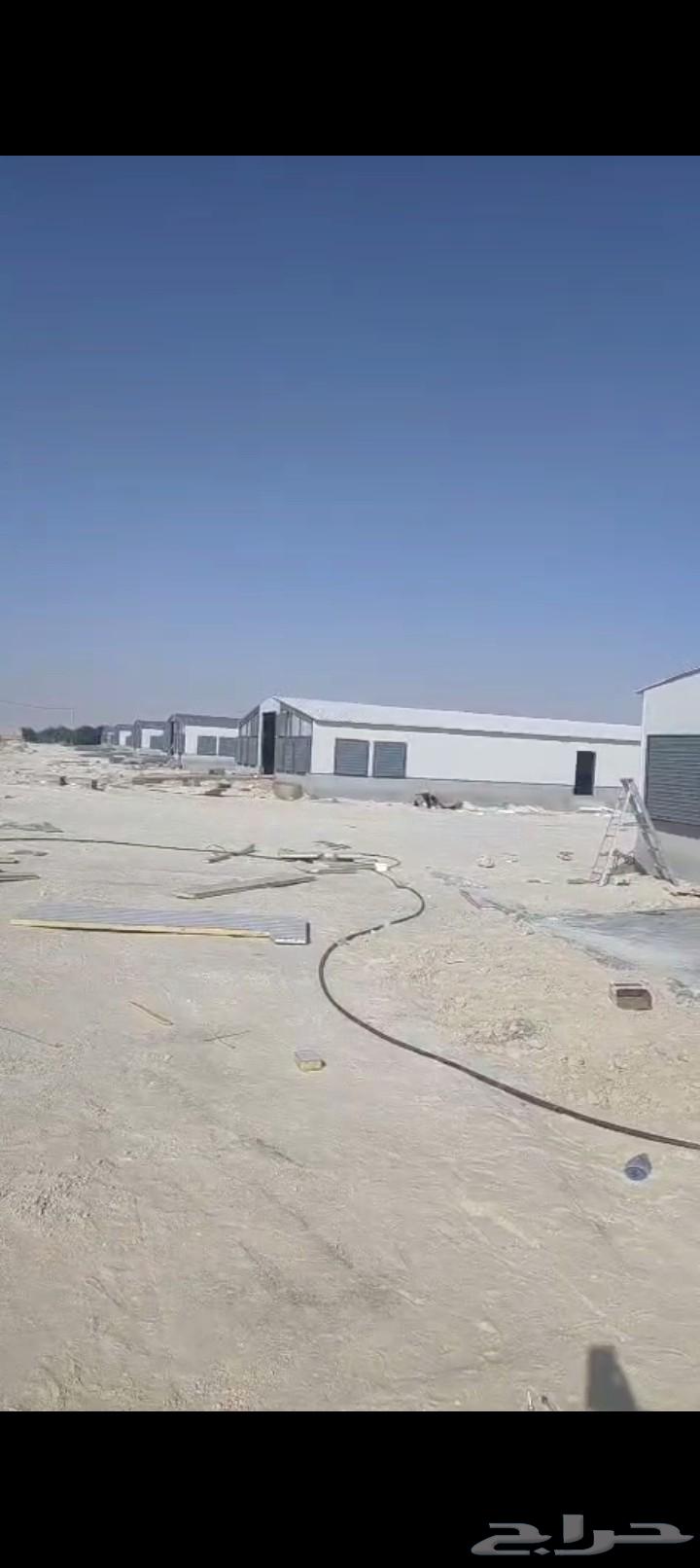 متخصصون في أنشأ حضاير الدواجن وتسويرها64437719847426114