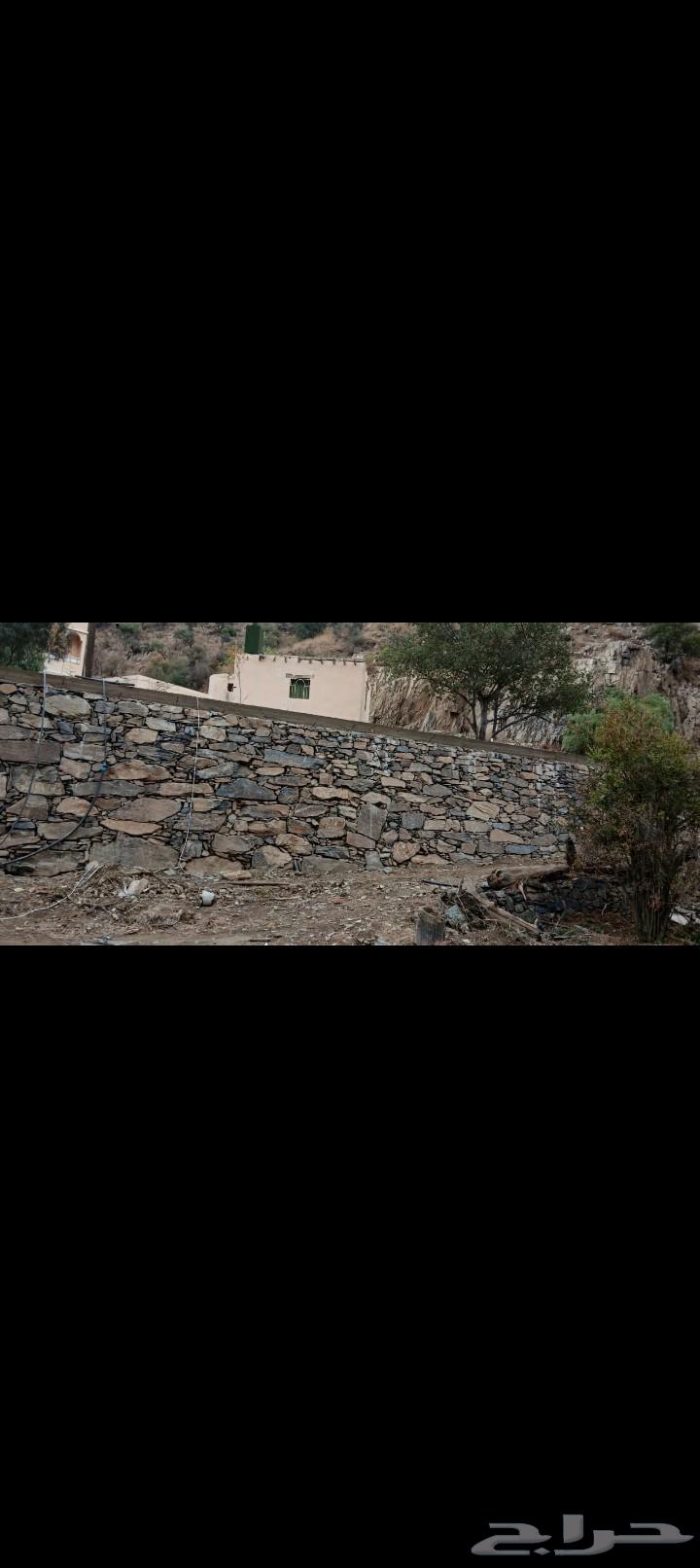 معلم حجر وتلبيس وتليوست وحجز كبر وسفير64264686830339112