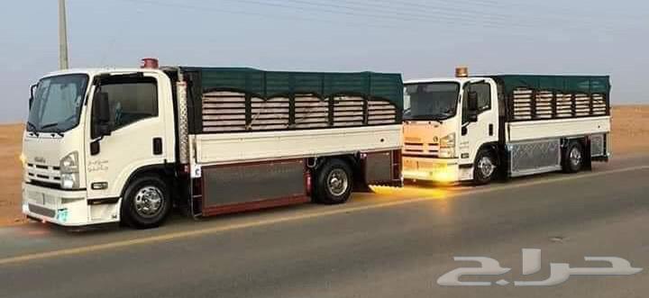 دينا نقل عفش بالرياض64259718787842110