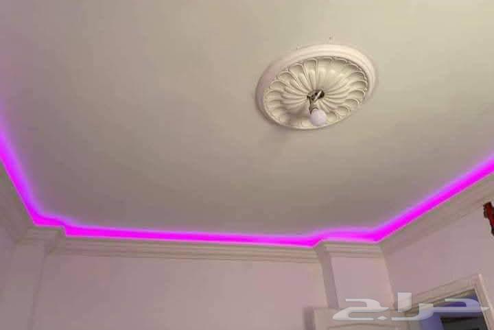 جبس جبسم بورد مقاول جدرن64264180193154111