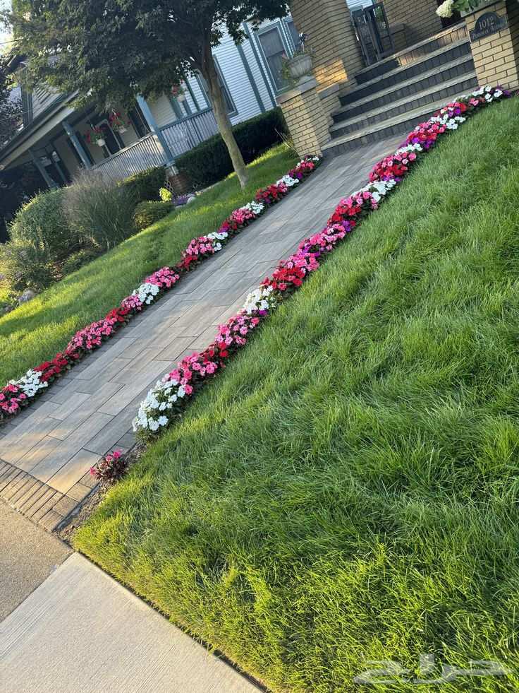 Abu Ahmed Landscape Design64260122889475111