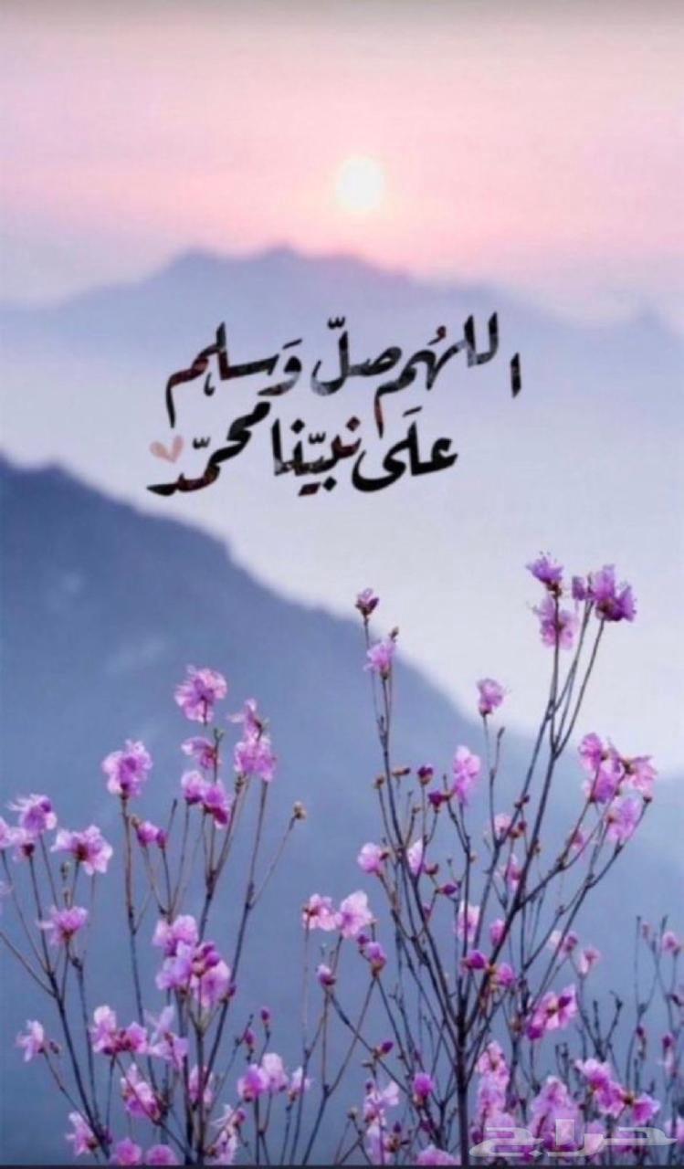 Apartment required in Al Dahas.. or annex or house64263973606659110