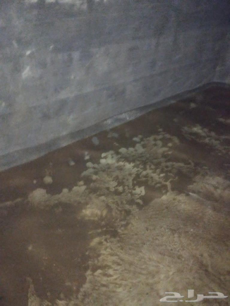 Cleaning company in Taif, water tank cleaning company in Taif, sofa and carpet cleaning64264523217025114