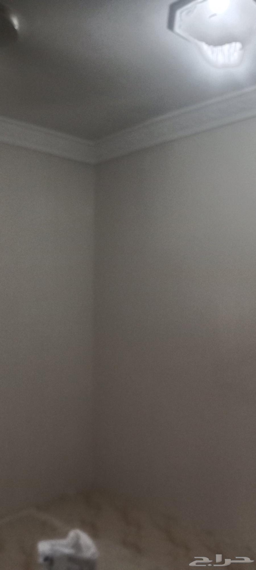 شغل دھانات دي ورات جبس بورد64260307984643110