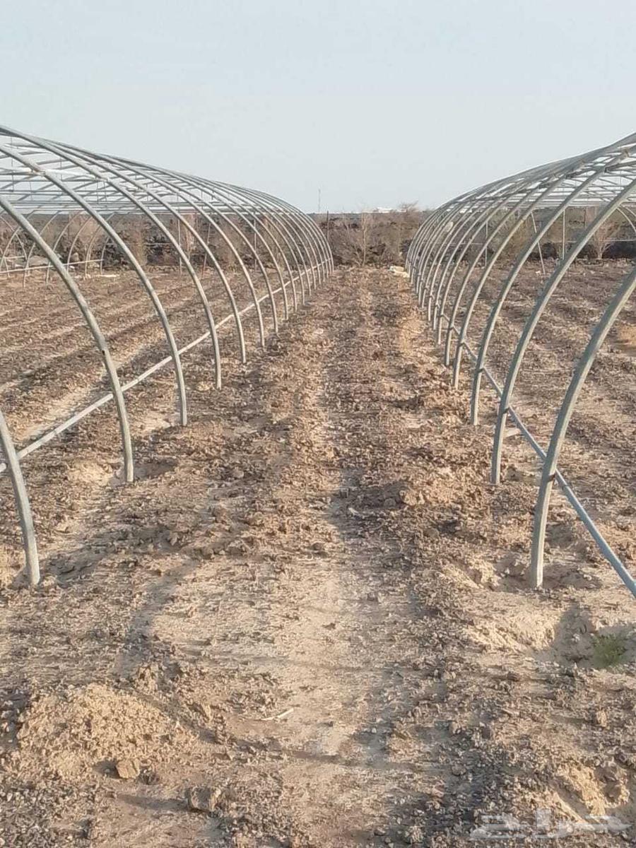 Disassembly and assembly of standard and air-conditioned greenhouses64264869638915110