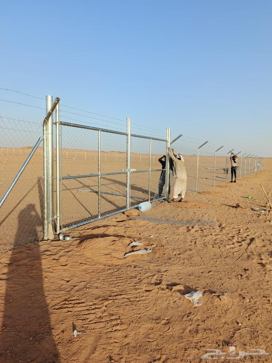 Land networking and palm tree planting Abu Khaled Al-Ma'aribi64259896435331110