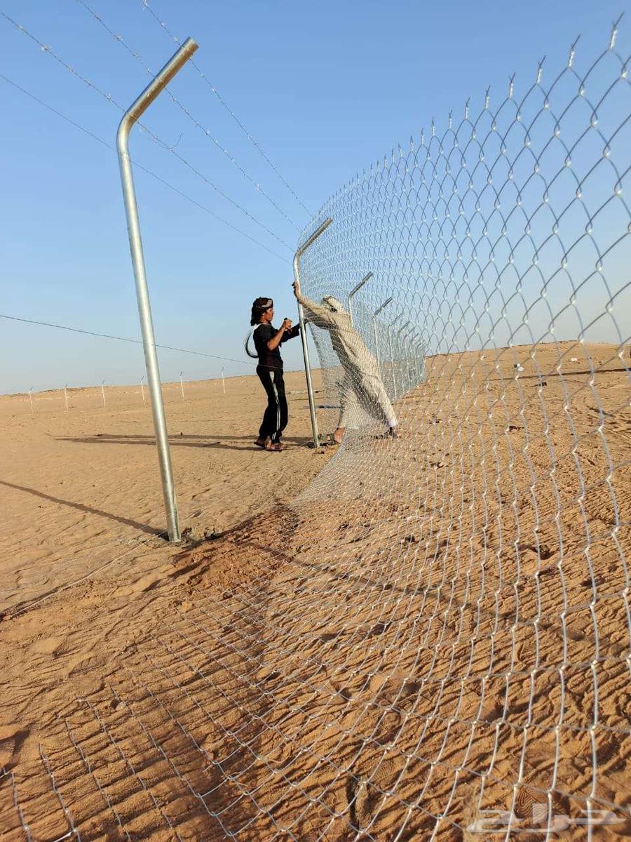 Land networking and palm tree planting Abu Khaled Al-Ma'aribi64259896435331111