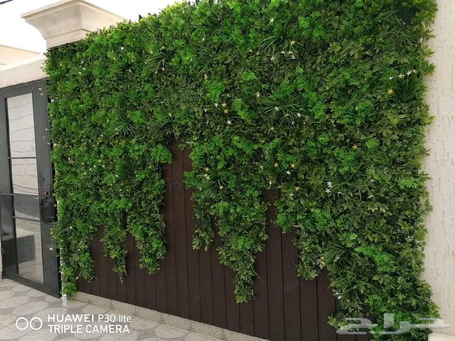 عشب جداري وتكسيات خشب مظلات شلالات احواض زرع صناعي64259899935745113