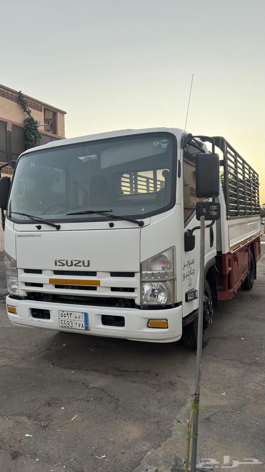 ديانه جاهزه للمشاوير64370180821378110