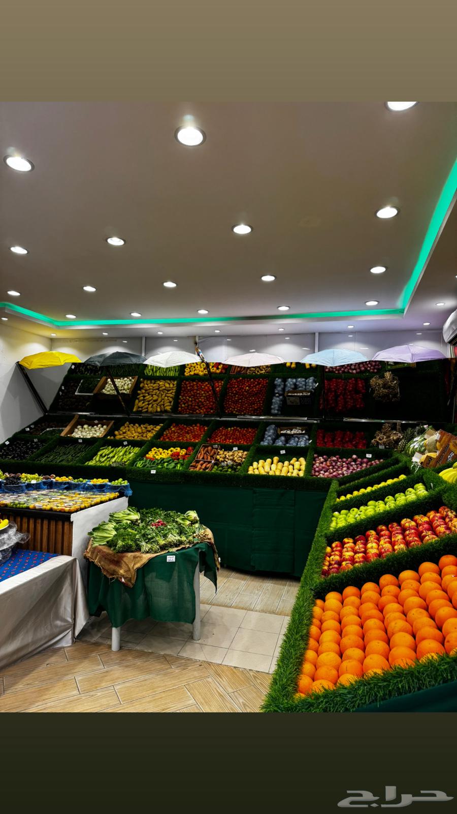 لتقبيل فواكة لعدم التفرغ المجاردة64360130834179112