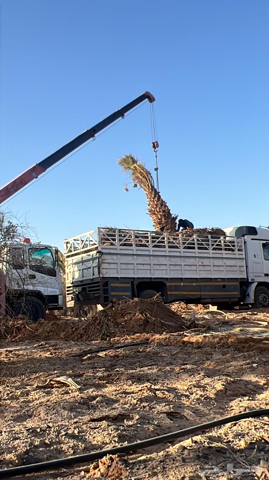 For loading and delivery64360200176771110