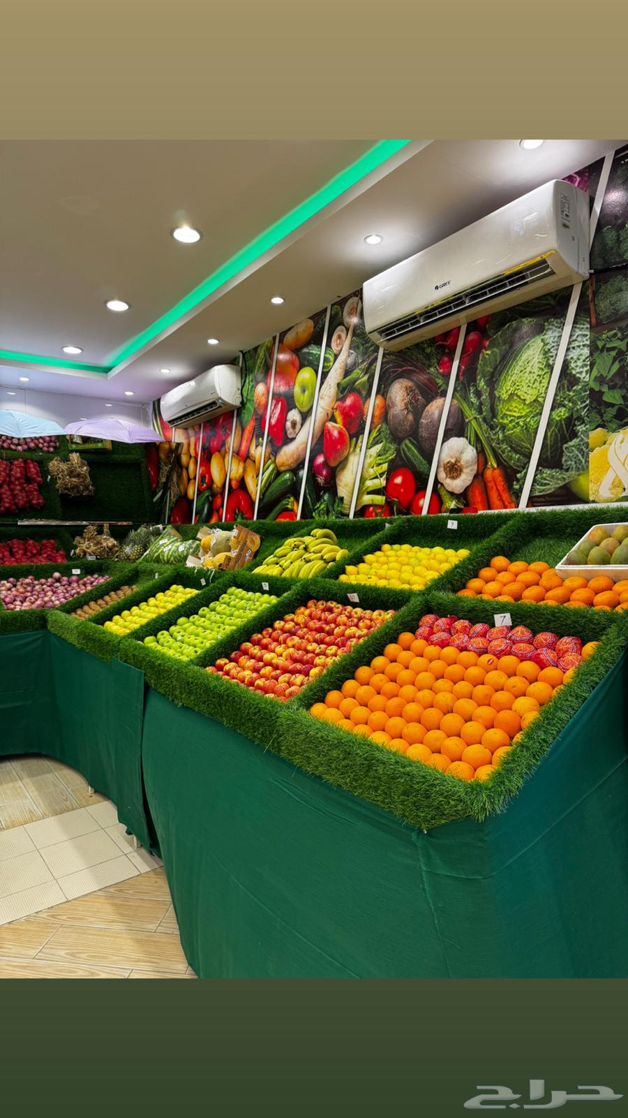 لتقبيل فواكة لعدم التفرغ المجاردة64360130834179113