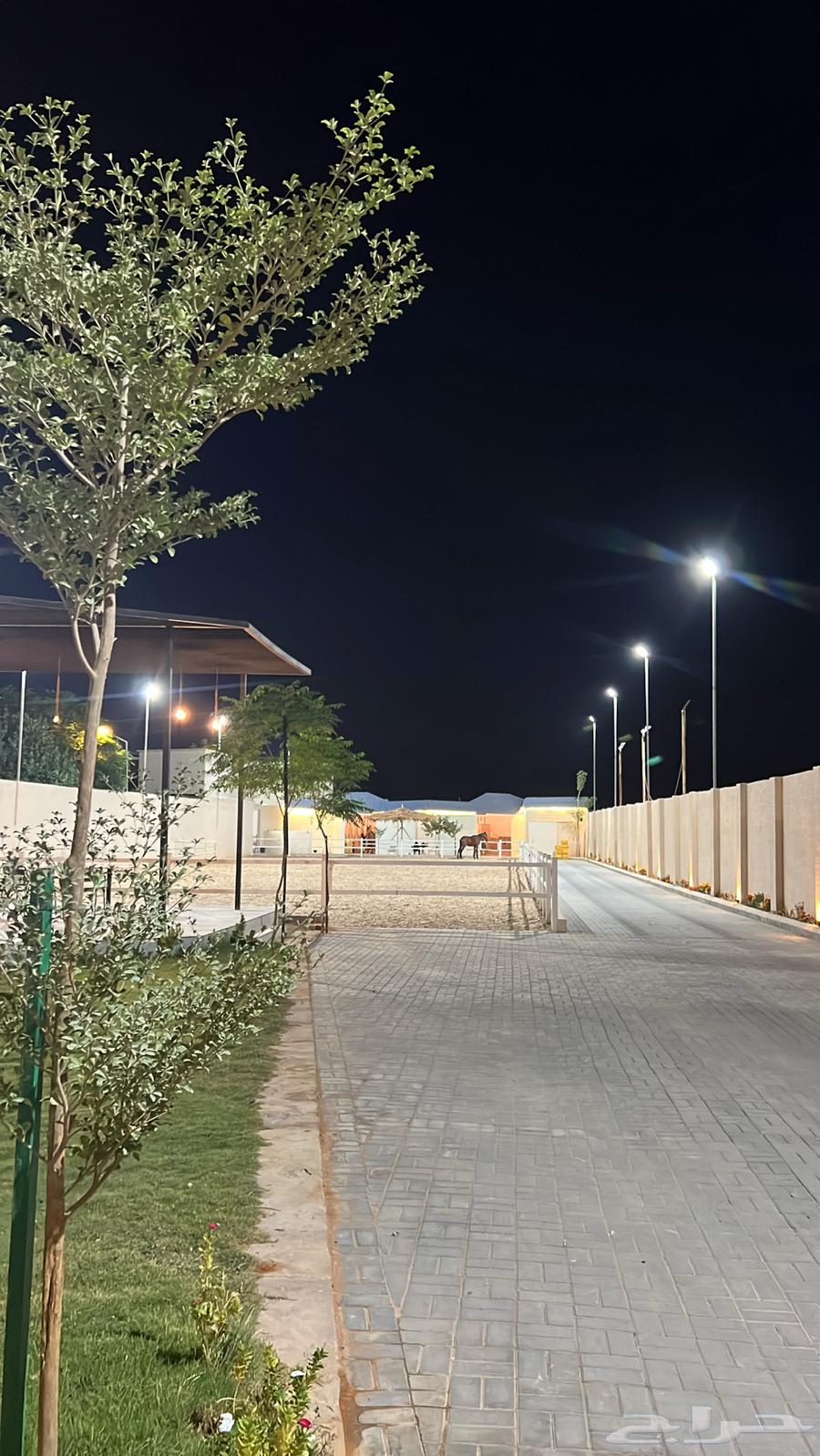 اسطبل هورس لاند للإيواء والتدريب64457568747139110