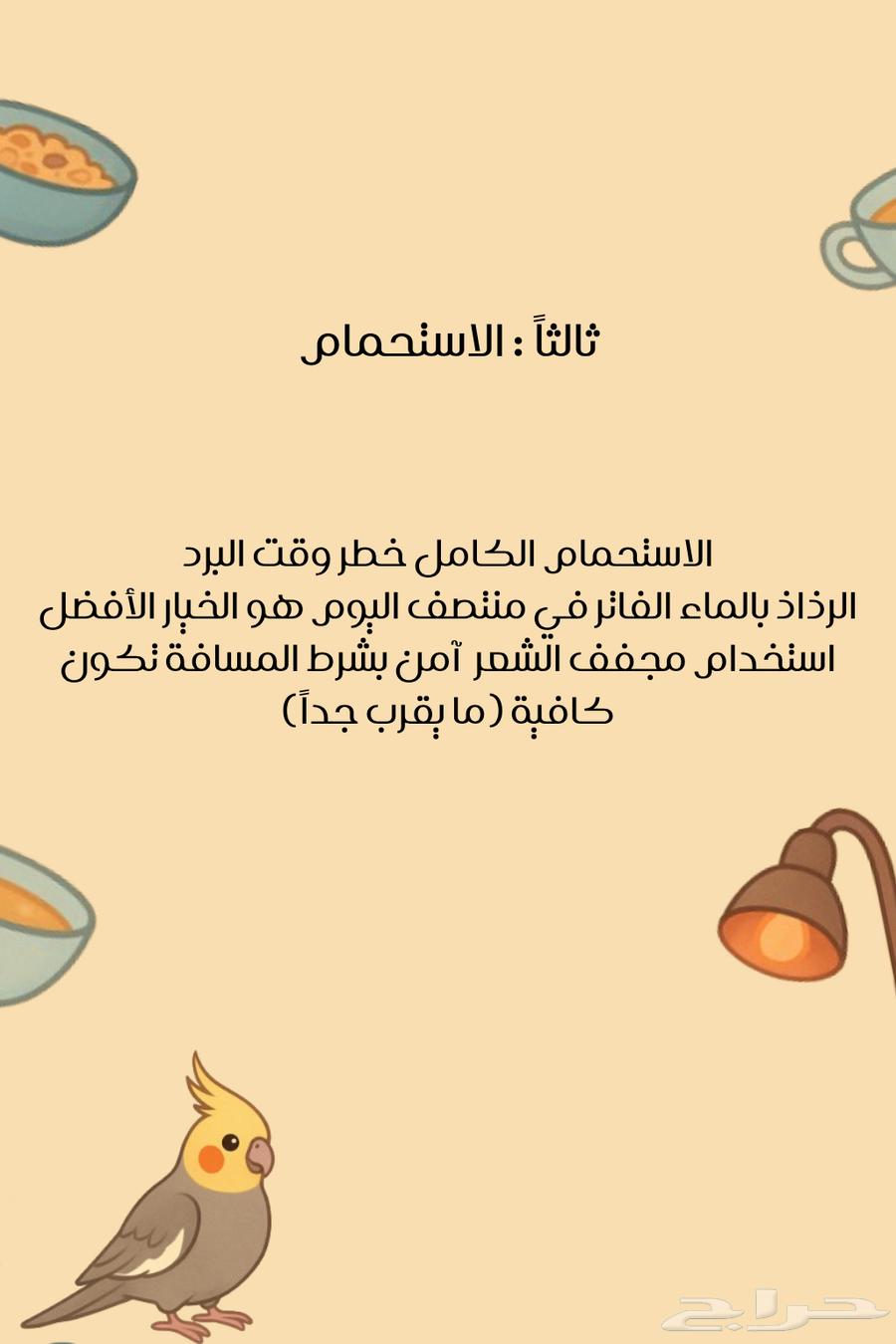 فندقه طيور   القصيم- المذنب64370131127297113