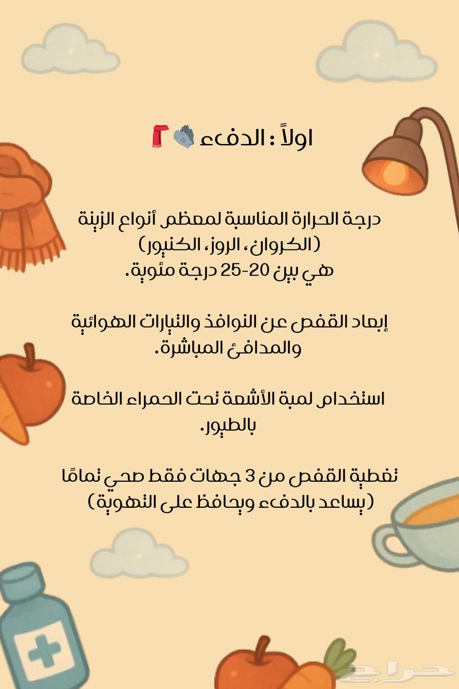 فندقه طيور   القصيم- المذنب64370131127297111