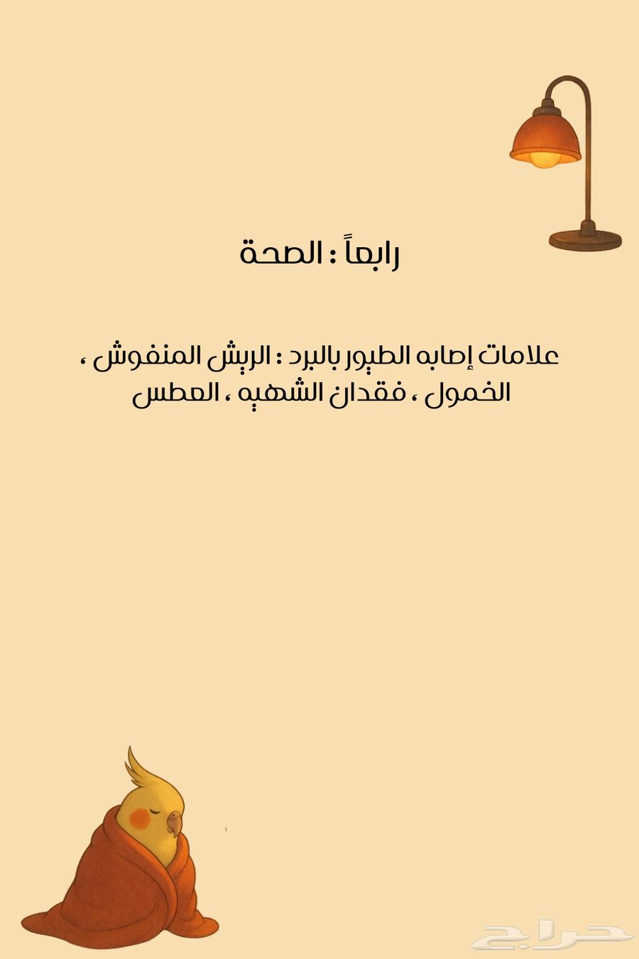 فندقه طيور   القصيم- المذنب64370131127297114