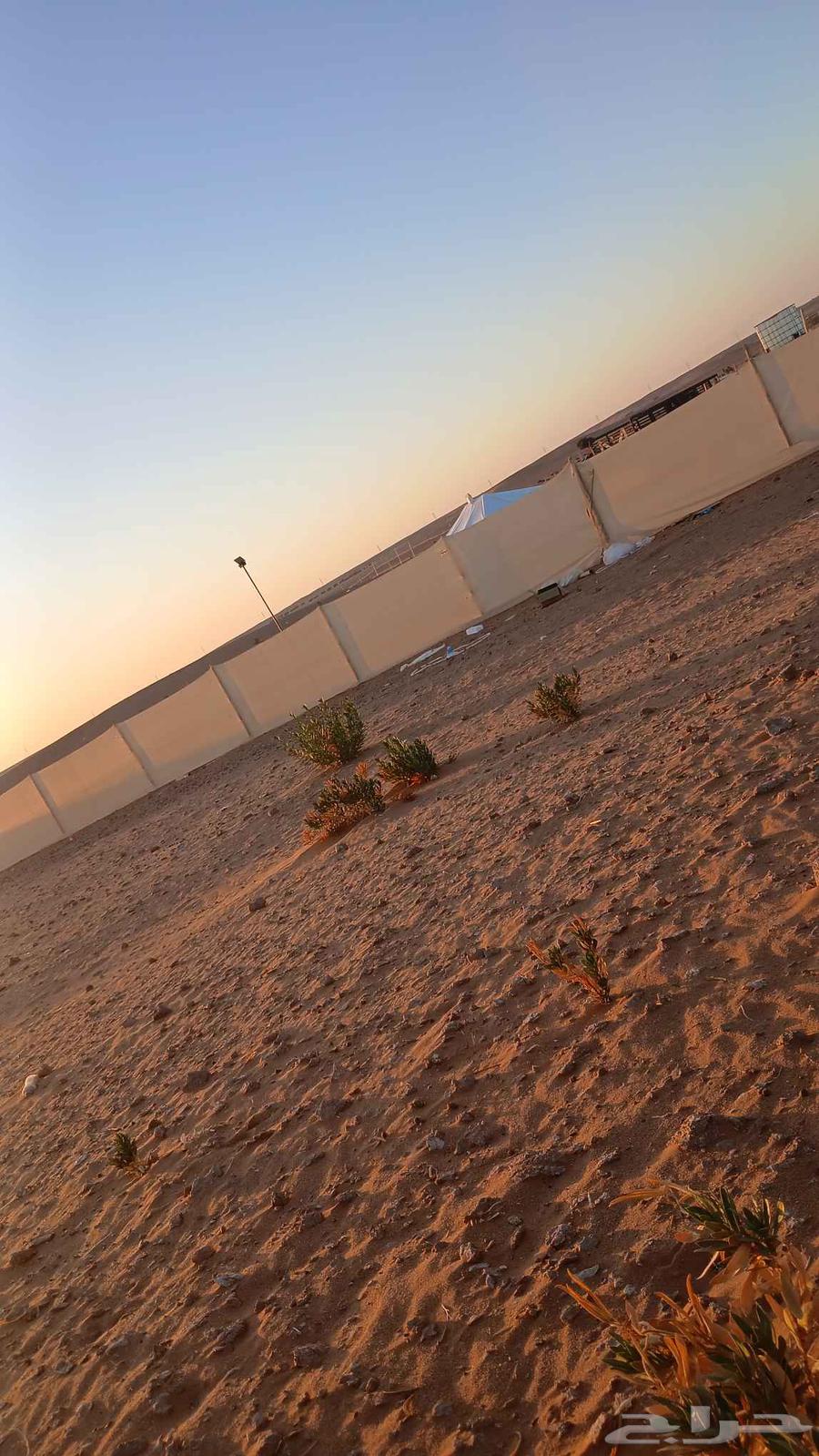 مخيمات لا بيع عمال فك تركب64422028240386111