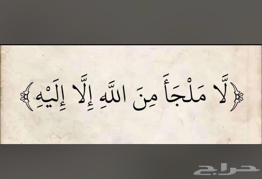 ابغا شقه 4 غرف سطح في حي السنابل64360113304451110