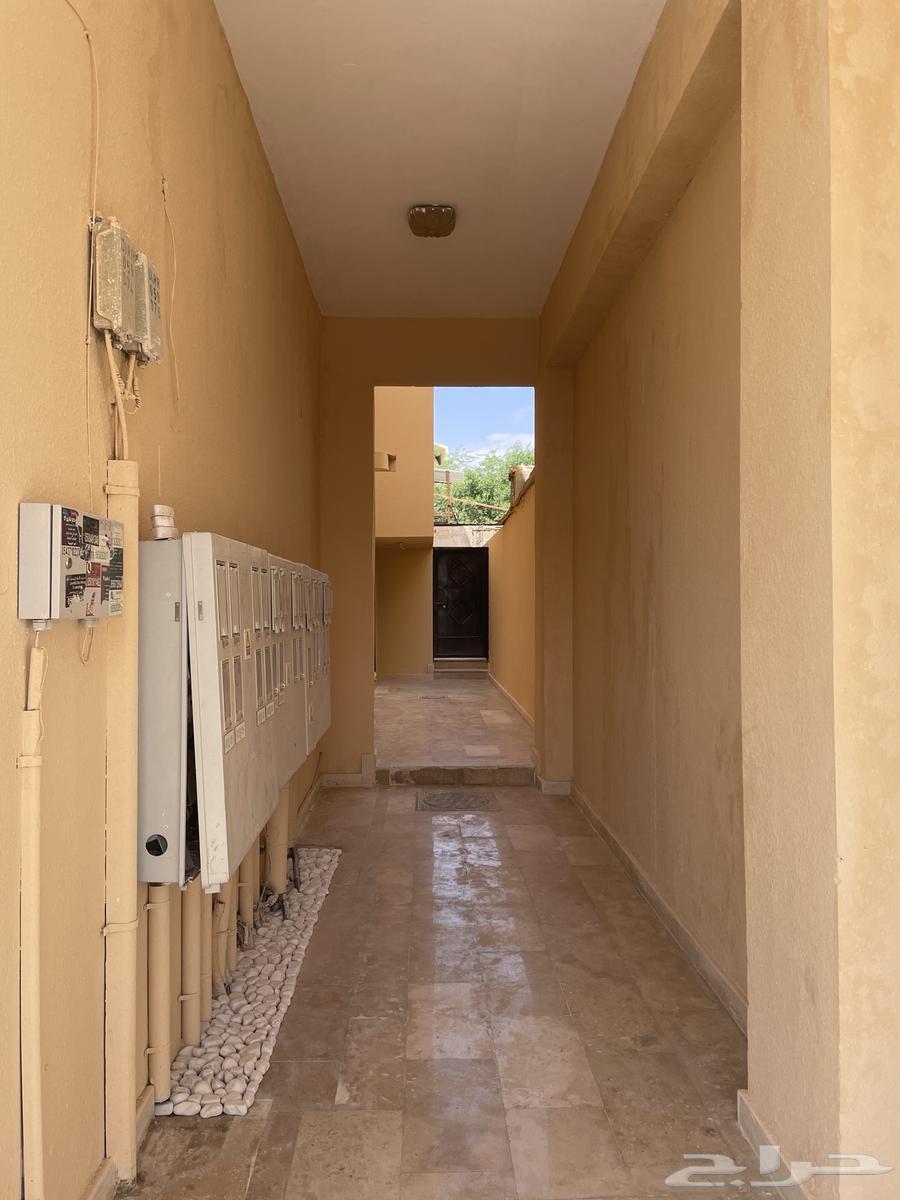 عمارة للإيجار